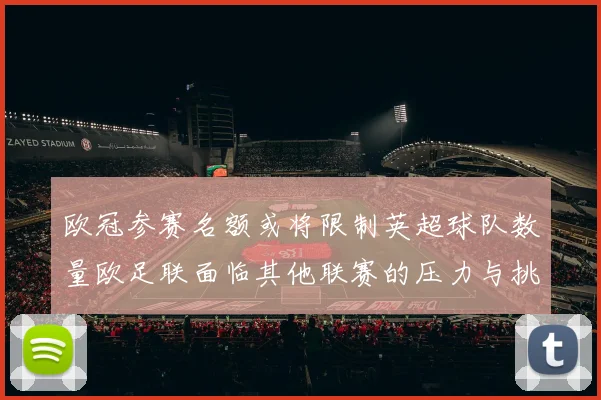 欧冠参赛名额或将限制英超球队数量欧足联面临其他联赛的压力与挑战