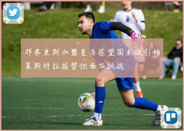 邓弗里斯加盟皇马在望国米欲引帕莱斯特拉接替但面临挑战